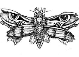 11set of moths and butterflies illustration, drawing, engraving, ink, line art, vector Death S Head Hawk Moth Drawing By Aaron Kirimli Saatchi Art