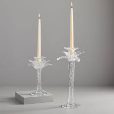 Maybe you would like to learn more about one of these? Palm Tree Glass Candle Holders