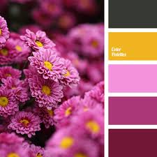Maybe you would like to learn more about one of these? Cool Purple Shades Color Palette Ideas