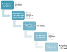 Devra lee davis, scholar in residence at the national research council in washington and the lead author of the new report, insists that the rise is too great to be. Brain Tumour Cancer Brain Foundation