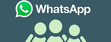 Select sticker pack you want. Basta Buscar En Google Para Acceder A Chats En Grupo De Whatsapp Pero No Es Culpa De La Aplicacion
