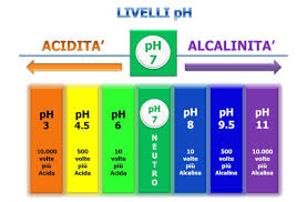 Al contrario, mantenere un ph alcalino aiuta a prevenire (e in certi casi anche a curare) molti disturbi e malattie. Acidita Dei Tessuti E Infiammazione Centro Chiropratico Dr Calogiuri
