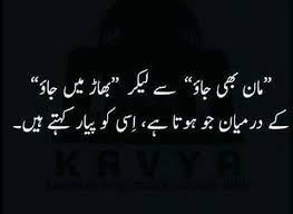Pin By Rids On Urdu Poetry Bano Qudsia Quotes Urdu Poetry Romantic Inspirational Quotes