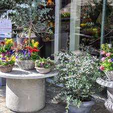Exklusiv bei dehner erhalten sie Fruhlingspflanzen Blumen Strub