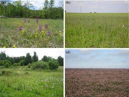 Boca raton is a major retirement centre. A Model To Account For Data Dependency When Estimating Floral Cover In Different Land Use Types Over A Season Springerlink