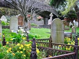 Whheeeee it looks better colored. Spring Flowers Adorn Graves With View Of Mcgrath Walkway Picture Of Bolton Street Cemetery Wellington Tripadvisor