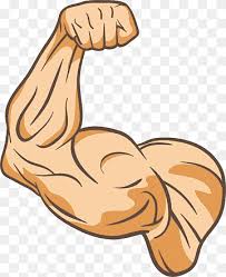 Fitness centre drawing bodybuilding animated cartoon muscle. Illustration Of Person S Arm Muscle Drawing Augu0161delms Arm A Strong Upper Arm Hand Cartoon Arms People Png Pngwing