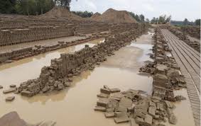 It originated and was first domesticated in the andesmountains of south america. Spring Rain Puts Curse On Potato Bricks The Daily Star