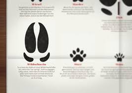 Poster Mit Den Spuren Heimischer Tiere Aus Dem Wald Wie Adler Biber Braunbar Dachs Eichhornchen Elch Ente Eule Fre Tiere Tierspuren Illustration Design