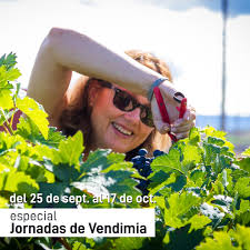 JORNADAS DE VENDIMIA EN DAVID...