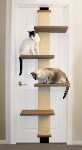 So i recorded him doing so because it reminds me of simon's. The Best Cat Scratching Posts Tall Short Leaning And More