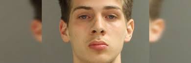 Lancaster Police arrest protester for inciting violence, throwing barrier  at officers