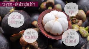 Mangostan hat sich, was die antioxidative wirkung betrifft, als wirksamer als vitamin e herausgestellt und enthält insgesamt 12 vitamine. Mangostan Die Konigin Der Fruchte Koro Foodjournal Koro Onlineshop
