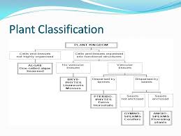 Check spelling or type a new query. Language Cells èªžè¨€ç´°èƒž Toefl è‹±èªžè½åŠ›ç·´ç¿' æ¤ç‰©åˆ†é¡ž Plant Classificatin