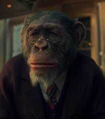 Check spelling or type a new query. Pogo Umbrella Academy Wiki Fandom
