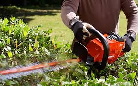 Smooth work commute, popular bars and nightlife, nearby restaurants and grocery stores, and safety. Equipment Rentals For Contractor Diyers Party Event Grand True Value Rental Of Appleton Wi Appleton Wi