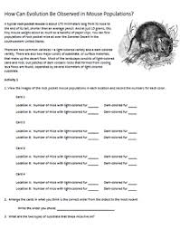 Evolution And The Rock Pocket Mouse The Rock Evolution Rock