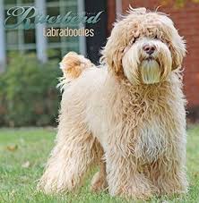 We are located in the heart of it all, ohio! Pin On Pattern