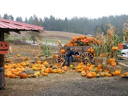 How Much Does A Roloff Farm Wedding Cost Howmuchisit Org