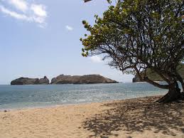 Plage De Pompiere A Terre De Haut Aux Saintes Elle Dispose Egalement D Un Lagon Aux Eaux Turquoises Guadeloupe Beach Outdoor Water