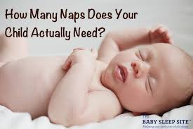 You may very well have a cat napper, which is totally typical, and totally okay. Baby And Toddler Naps How Many Does Your Baby Or Toddler Need