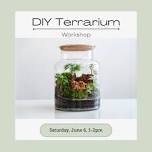 DIY Terrarium Workshop