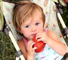 Grainger County Tomato Festival returns July 21