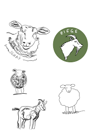 Und die resultate können im buch gleich als erstlingswerk verewigt werden. Ein Schaf Und Eine Ziege Visuelle Notizen Notiz Visualisierung
