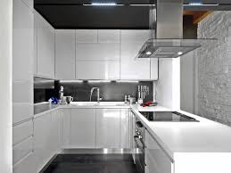 25 u shaped kitchen designs (pictures