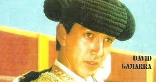 Toreros Peruanos: DAVID GAMARRA
