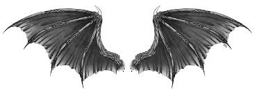These need very bright light to look their best, but not scorching sun. Realistic Dragon Wings Png Dragon Wings Wings Png Realistic Dragon
