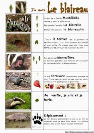 S Epanouir Pour Bien Grandir Les Animaux De La Foret Animaux Foret Documentaire Animaux Ecole De La Foret