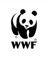 Just a quick update as we near the end of 2018… the polar bears (who are off on their own adventures at for any info about what we're up to outside of fish and game, contact ivor (previously known as eilidh) on ivormacaskill@gmail.com. Fish Forward Project Fish Forward Wwf