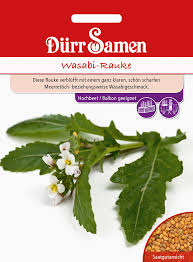 Japanisches gewürz aus der würzigen wurzel der wasabi pflanze wie meerrettich schmeckend zubereitet wasabi i̇ngilizce wasabi kelimesinin i̇talyanca karşılığı. Wasabi Rauke Raukesamen Von Durr Samen Samenhaus Samen Samereien