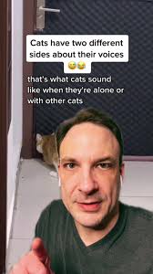 Cats Mimicking Humans: Why Do Cats Change Their Voices?