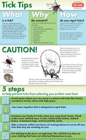 Tick Tips Infographic How To Prevent Tick Bites