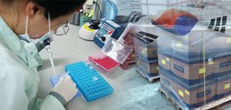 South koreans are expected to . S Korea S Covid 19 Test Kit Exports Jump More Than Eight Fold In April From March Pulse By Maeil Business News Korea