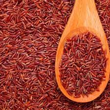 Sebab sel dalam badan mereka tidak boleh menyerap gula yang mereka dah makan. Jangan Sembarangan Mengonsumsi Nasi 10 Rekomendasi Beras Sehat Ini Mampu Menurunkan Gula Darah Bagi Penderita Diabetes