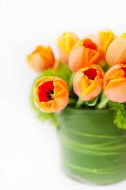 Maybe you would like to learn more about one of these? Bloompop
