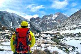 Image result for Autumn Gold Dark 1977 Caloric