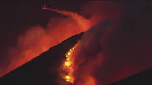 Image from encrypted-tbn0.gstatic.com