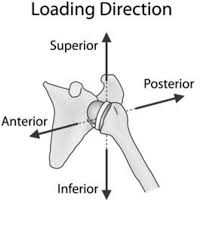 Mar 20, 2021 · superior and inferior. Factors Affecting Stability Of The Reverse Total Shoulder Arthroplasty A Cadaveric Biomechanical Study