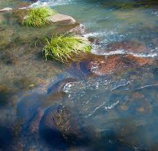 Pin On The Life Aquatic Relaxing Spas Beaches Waterfalls Swimming Holes