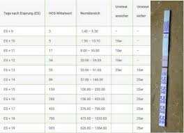 5 tagen nach deinem eisprung anfangen zu testen, allerdings ist die 12. Hcg Tabelle Urin Schwangerschaftstest Ab Wann Moglich