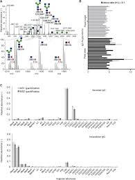 When the hamster grid ea algorithm opens a new order it will either close its profit or use the grid method. Mechanistic Reconstruction Of Glycoprotein Secretion Through Monitoring Of Intracellular N Glycan Processing Science Advances