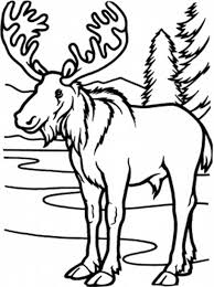 Terrific mickey mouse christmas coloring pages with free. Printable Realistic Printable Wild Horse Coloring Pages Novocom Top