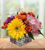 Lucie botanical gardens offer a flora point of view to the florida wildlife. Flower Delivery Services Send Flowers Online Nationwide Avas Flowers