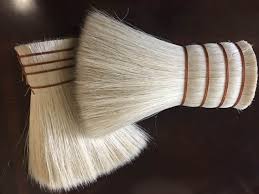 Image result for root-tail