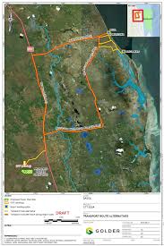 Image result for Pavetta gracillima