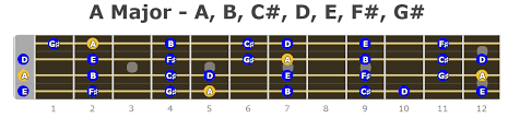 Explore more like bass neck notes diagram. Bass Guitar Major Scales Notes Fretboard Diagrams Bass Player Center